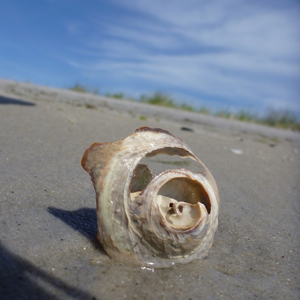 Meet your Posher, Sheri